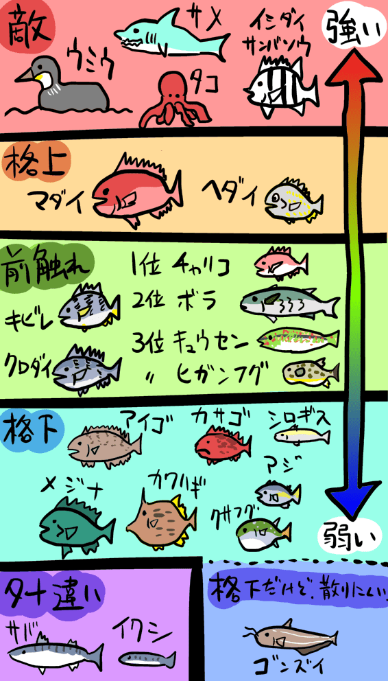紀州釣り(ダンゴ釣り)専用『ウロキキ寝うき』2本 黒鯛（ちぬ）釣り用 3IPU1